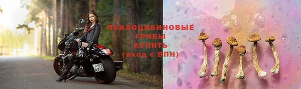 ешки Абаза